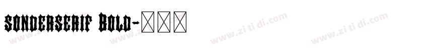 sonderserif Bold字体转换 sonderserif Bold字体转换